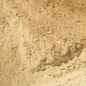 Areia